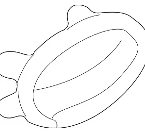 Courtesy Lamp - Mazda (BC1M-68-4G1B)