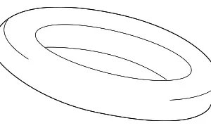 Muffler Gasket - Mazda (ZJ21-40-305A)