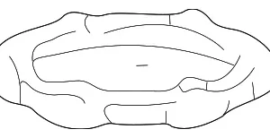 Protector Ring - Mazda (ZZL0-42-A14)