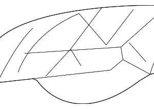 Adjust Knob - Mazda (GAC4-88-1G5-72)
