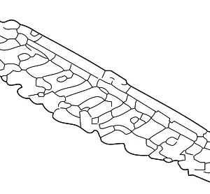 Front Shield - Mazda (BP4K-56-112)