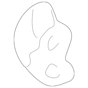 Fender Clip - Mazda (T001-56-894)